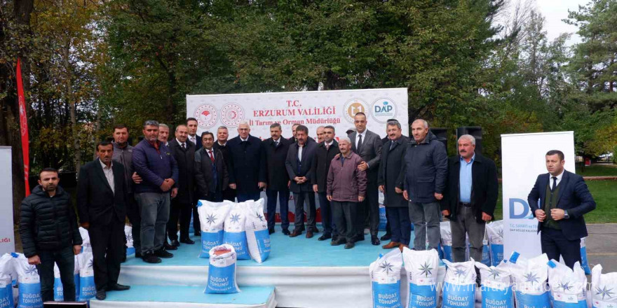 Erzurum’da DAP desteğiyle 935 ton buğday tohumu dağıtıldı