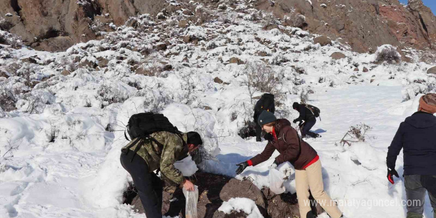 Erzurum’da doğaseverler soğuk havalarda keklikleri unutmadı