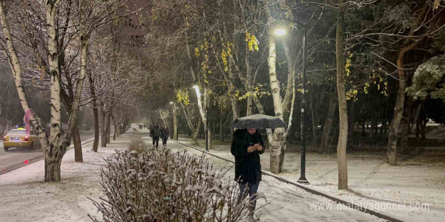 Erzurum’da kar yağışı etkili oluyor