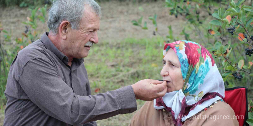 Eşinin rahatsızlığı için ektiği meyvenin taleplerine yetişemiyor