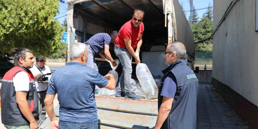 Eskişehir balıkçılığına önemli katkı