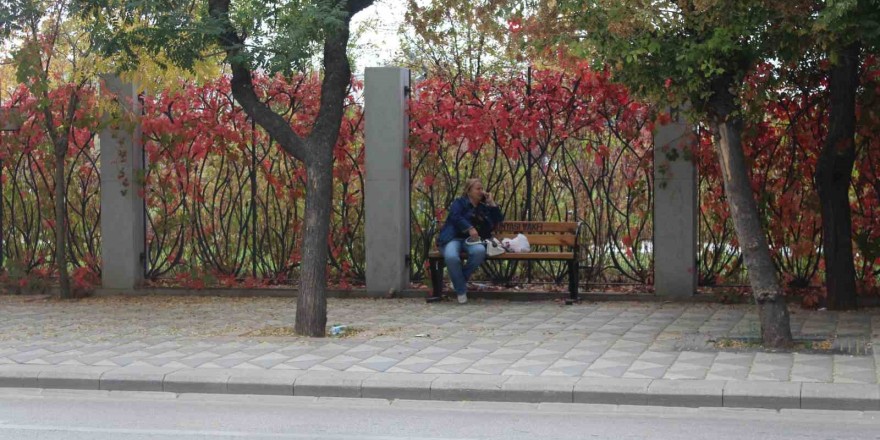 Eskişehir’de renkli yaprakların uyumlu görüntüsü dikkat çekiyor