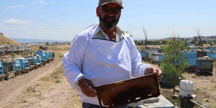 Eskişehirli arıcılar daha fazla destek bekliyor