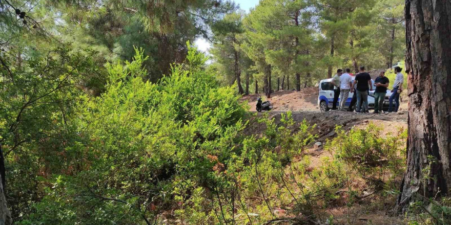 Fethiye’de ormana bırakılan bebekle ilgili 2 şüpheli tutuklandı