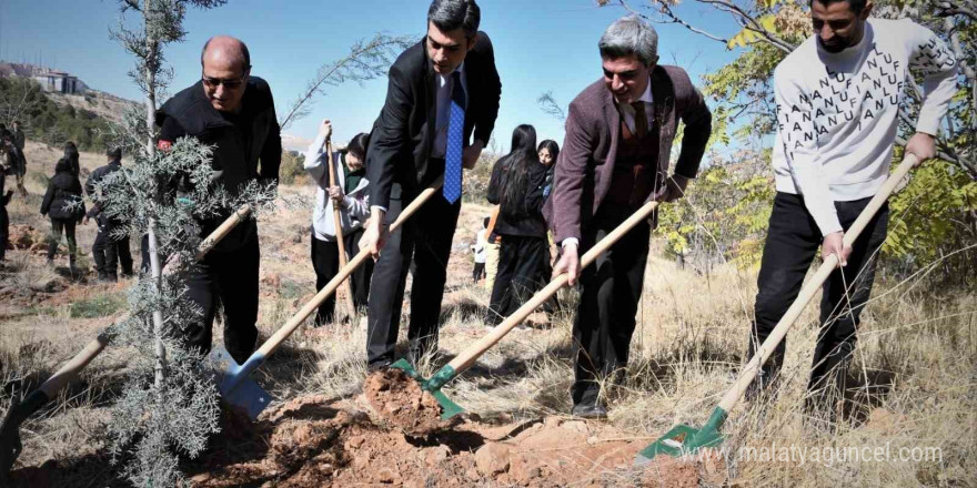 Fidanlar toprakla buluştu