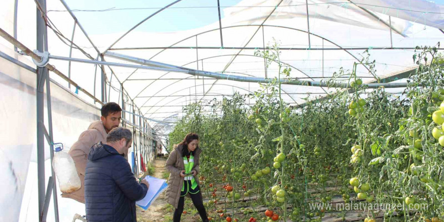 Fırtına ve hortum sonrası Antalya’da hasar tespiti sürüyor