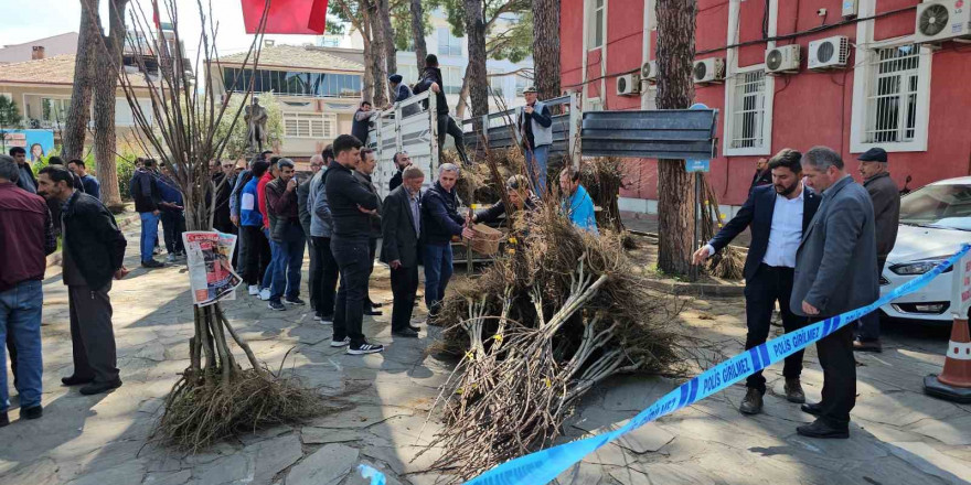 Gal arısı zararlısına karşı geliştirilen kestane fidanları üreticiye dağıtıldı