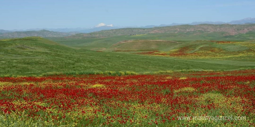 Garzan Ovası büyük ova ilan edildi