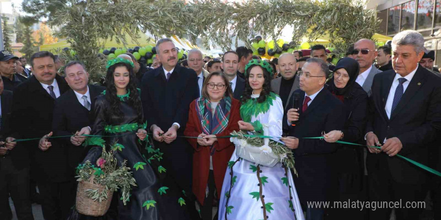 Gaziantep Zeytin Festivali başladı