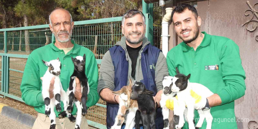 Gaziantep Zoo Parkı’nda bin 100 doğum sevinci yaşandı