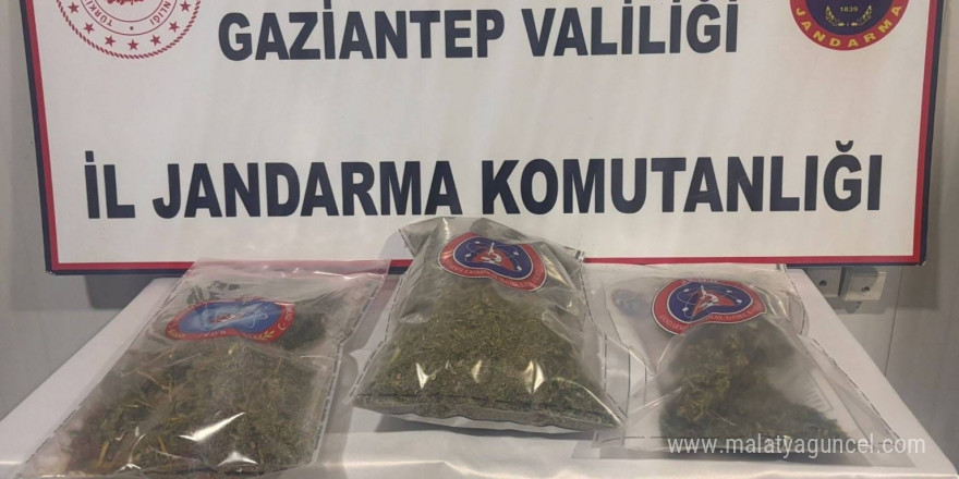 Gaziantep’te 1 kilo esrar ele geçirildi