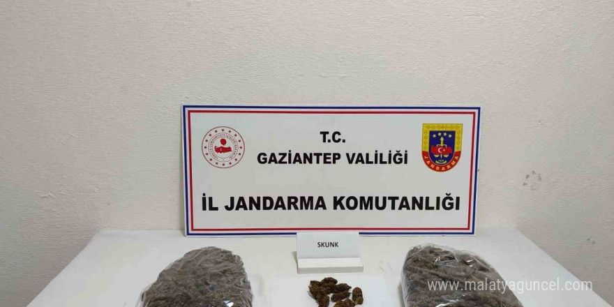 Gaziantep’te 5 kilo skunk ele geçirildi: 1 şahıs tutuklandı