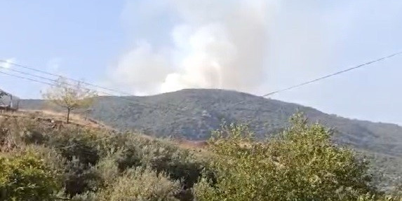 Gaziantep’te orman yangını