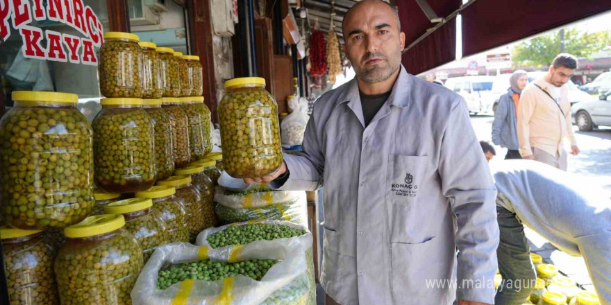 Gaziantep’te yeşil zeytinler tezgaha indi