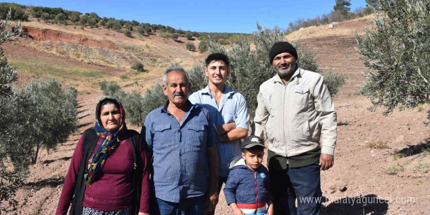 Gaziantep’te zeytin hasadı başladı