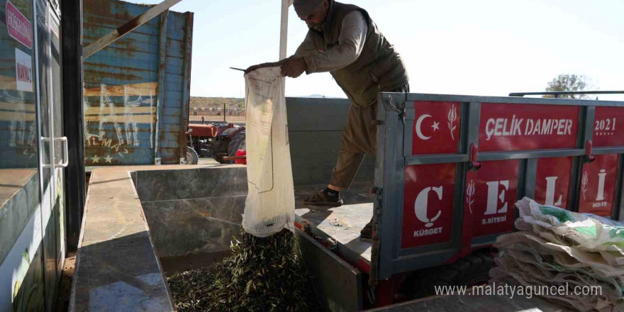 Gaziantep’te zeytinyağı mesaisi başladı