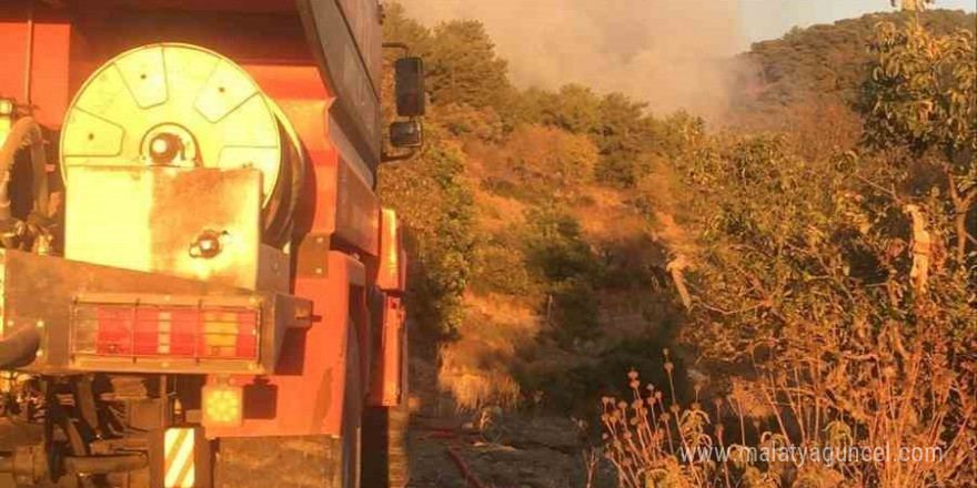 Gazipaşa’da ormanlık alanda çıkan yangın söndürüldü