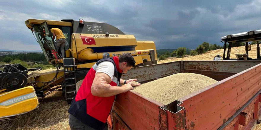 Gediz ve Emet ilçelerinde hasat dönemi denetimleri