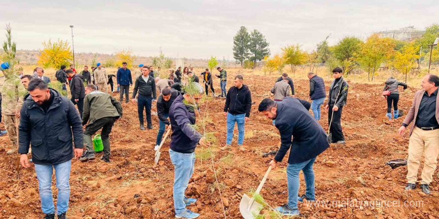 Geleceğe kök salacak fidanlar toprakla buluşturuldu