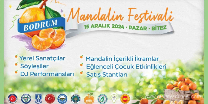 Geleneksel Bodrum Mandalin Festivali başlıyor