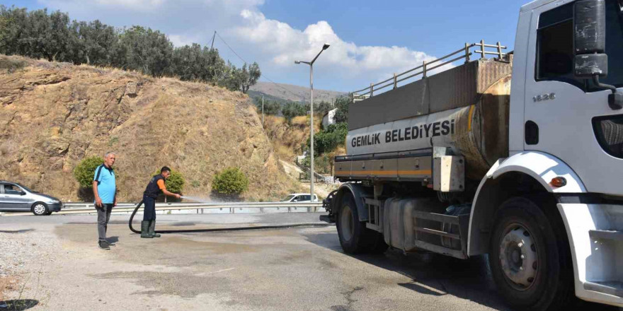 Gemlik’te dört koldan temizlik