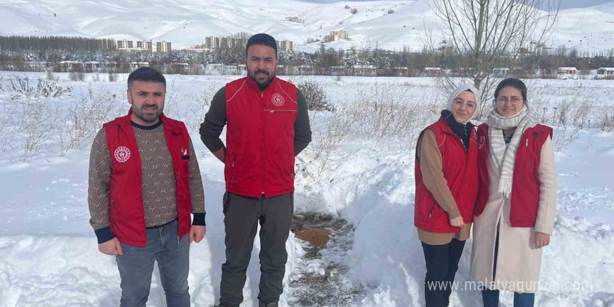 Gençlik Merkezi gönüllüleri sokak hayvanları için doğaya yiyecek bıraktı