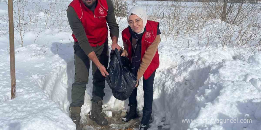 Gençlik Merkezi gönüllüleri sokak hayvanları için doğaya yiyecek bıraktı