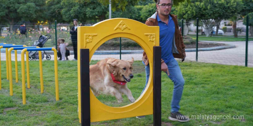 Geri dönüşüm malzemelerinden Pati Park