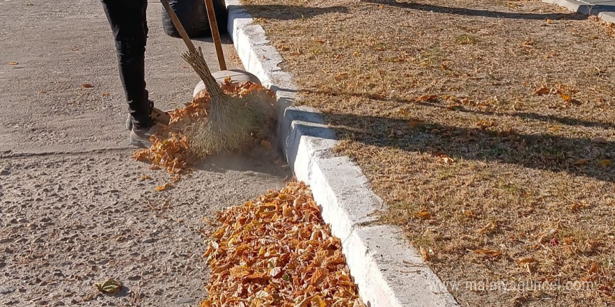 Germencik’te ’sonbahar’ temizliği