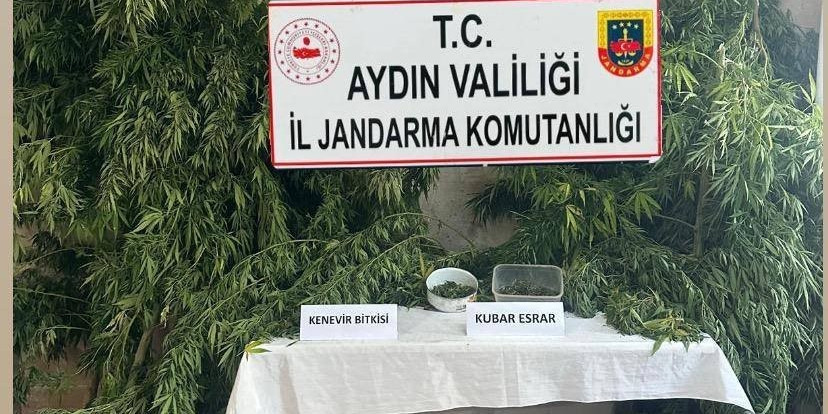 Germencik’te uyuşturucu operasyonu: 1 gözaltı