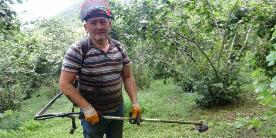 Giresun’da fındık üreticilerinin yaklaşan hasat öncesi bahçe temizliği mesaisi başladı