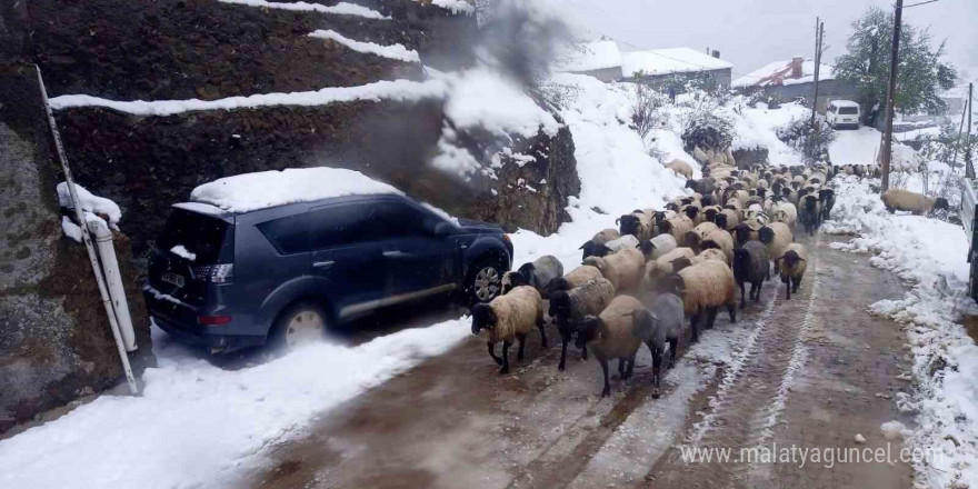 Giresun’da kar yağışı nedeniyle mahsur kalan çobanlar kurtarıldı