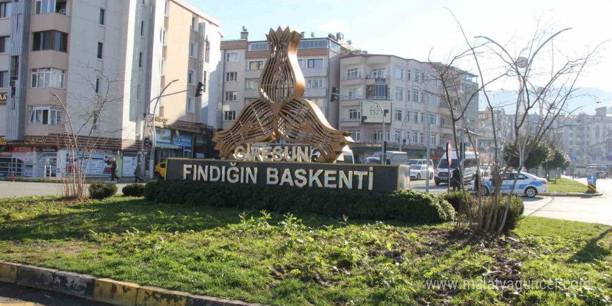 Giresun’da kavşaklar fındık ağaçları ile süslenecek