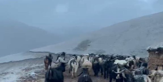 Giresun’un yüksek kesimlerinde kar yağışı etkisini gösterdi