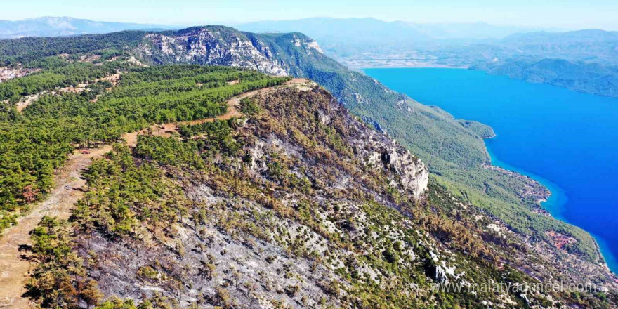 Gökova’da alevlerin önünü kesmek için 6,5 kilometre yangın şeridi açıldı