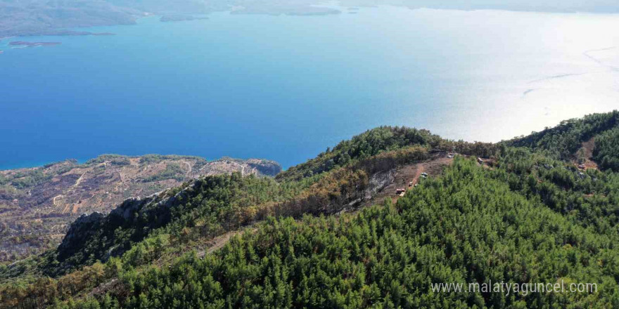 Gökova’da alevlerin önünü kesmek için 6,5 kilometre yangın şeridi açıldı