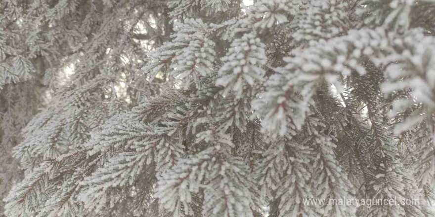 Göle’de hayat dondu, eksi 22 derece