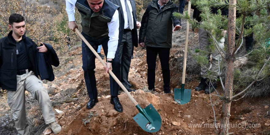 Gümüşhane’de binlerce fidan toprakla buluştu