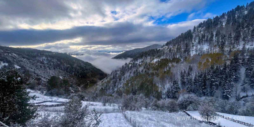 Gümüşhane’de kar ve sis buluştu ortaya tablo gibi bir fotoğraf çıktı