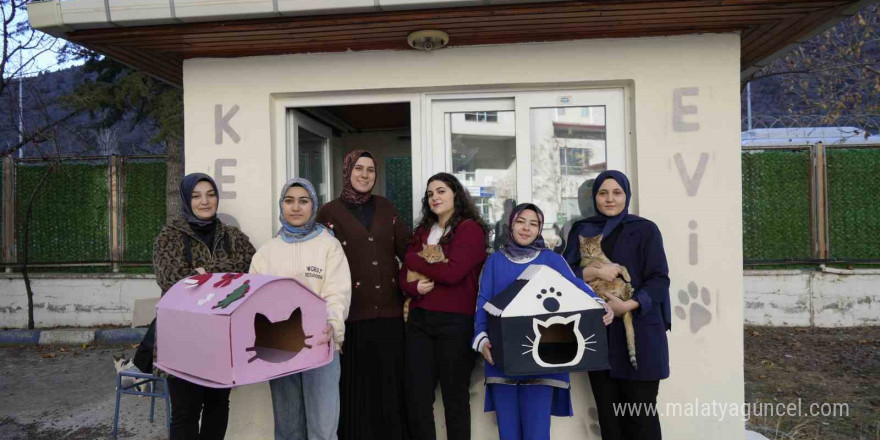 Gümüşhane’de öğrenci yurdunun güvenlik kulübesi kedilere yurt oldu