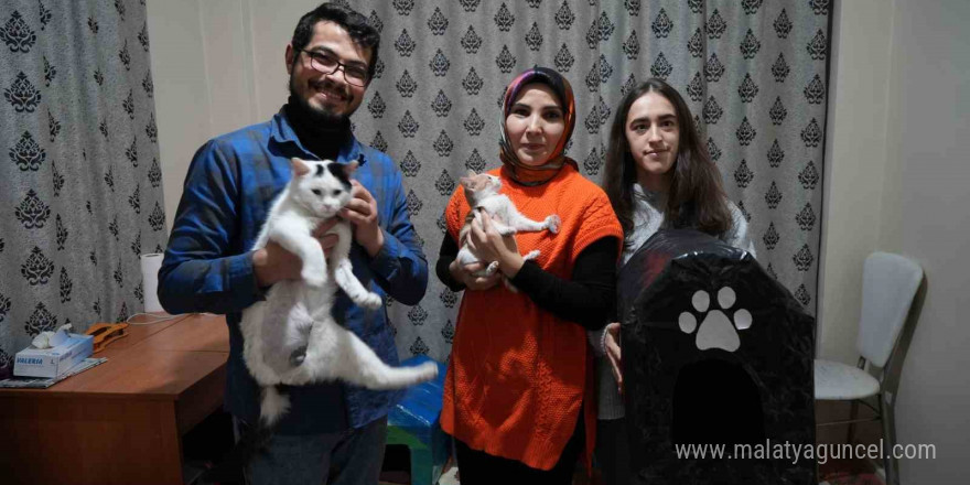 Gümüşhane’de öğrenciler engelli kediler için kedi evi yaptı