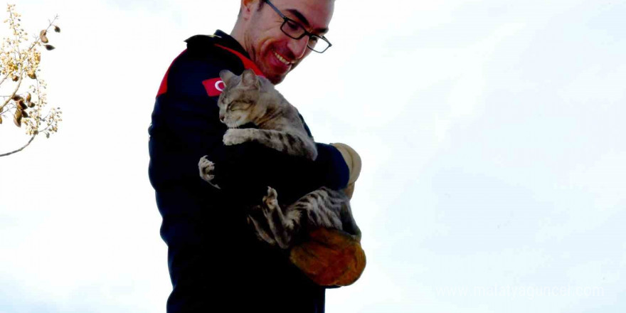 Günlerdir ağaçta mahsur kalan kedi, itfaiyenin çalışmasıyla kurtarıldı