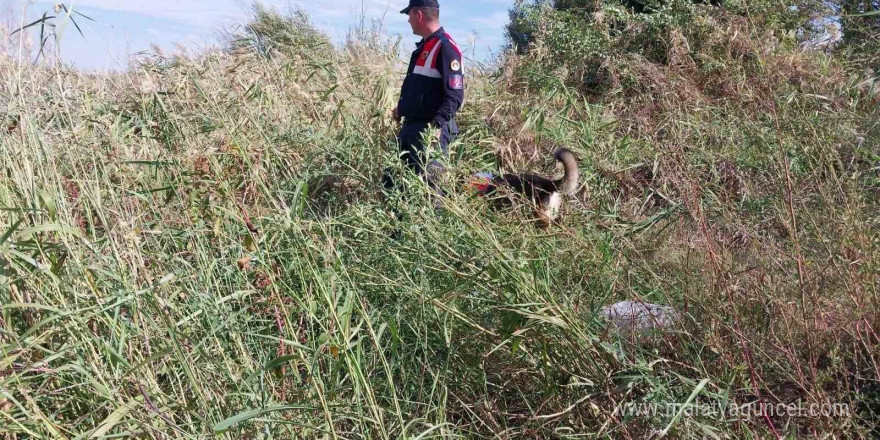 Günlerdir aranıyordu, cansız bedeni yol kenarında bulundu