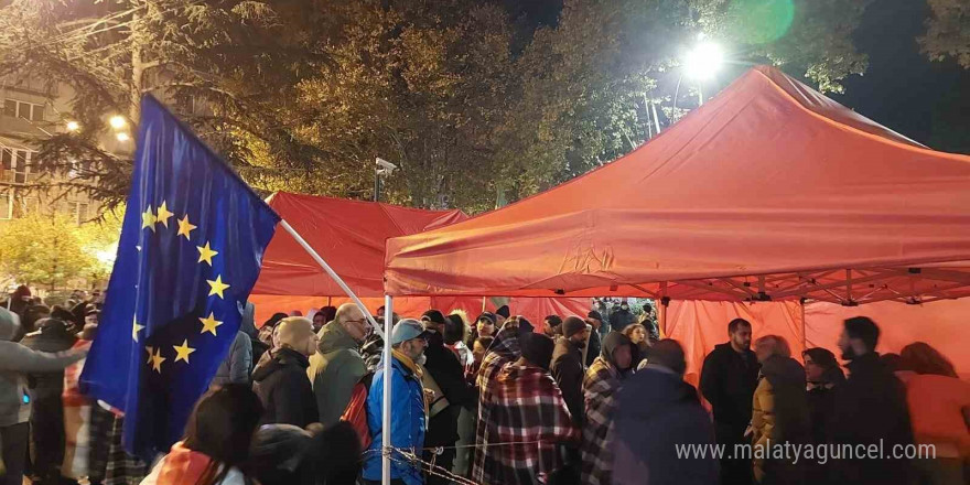 Gürcistan’da yeni hükümet için 25 Kasım’da güven oylaması yapılacak