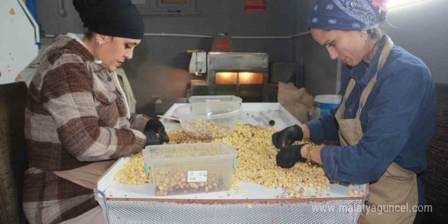 Hasadı biten fındıkta kırma ve kavurma dönemi