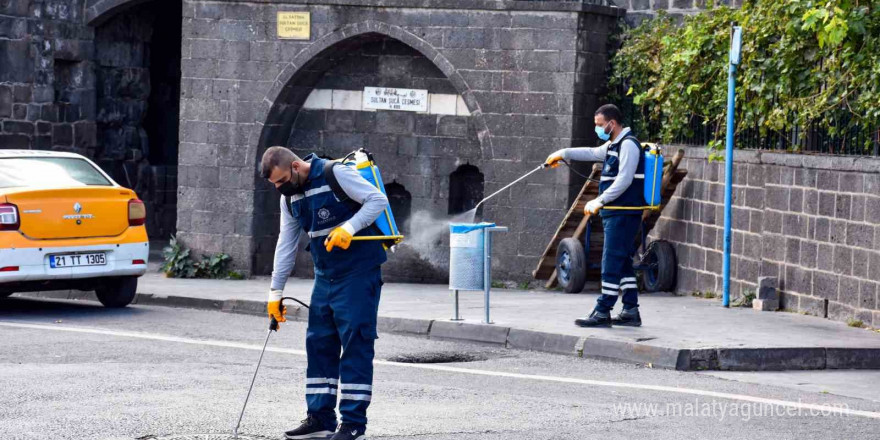 Haşerelere karşı ilaçlama çalışmaları sürüyor