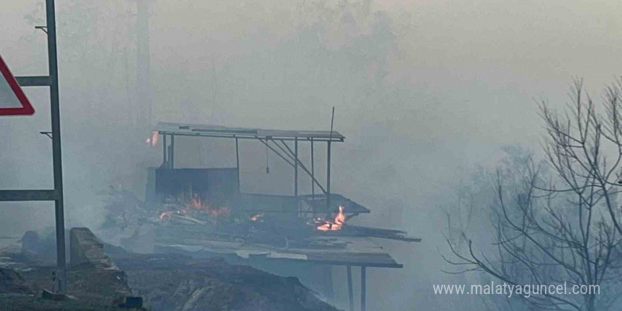 Hatay’da orman yangını evlere sıçradı