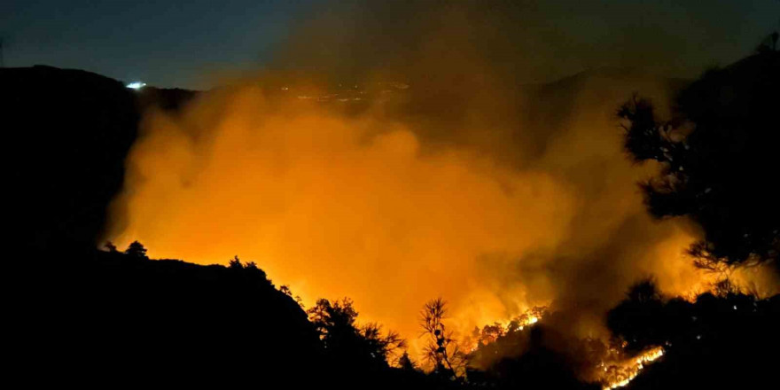 Hatay’da orman yangını