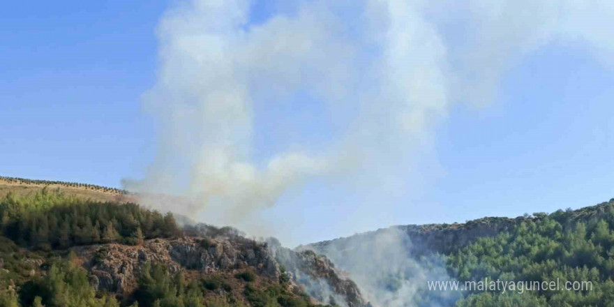 Hatay’da orman yangını