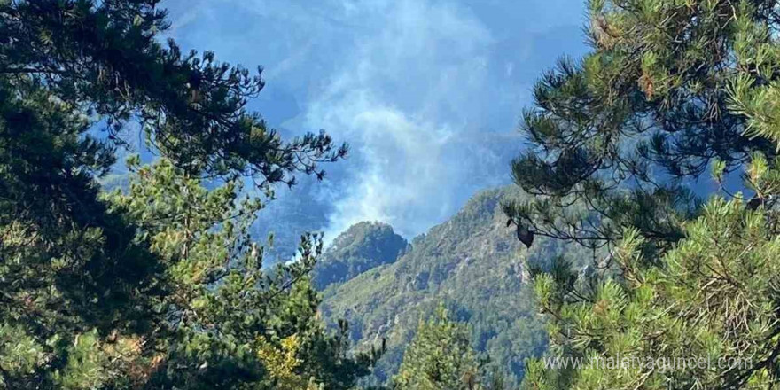 Hatay’da orman yangını